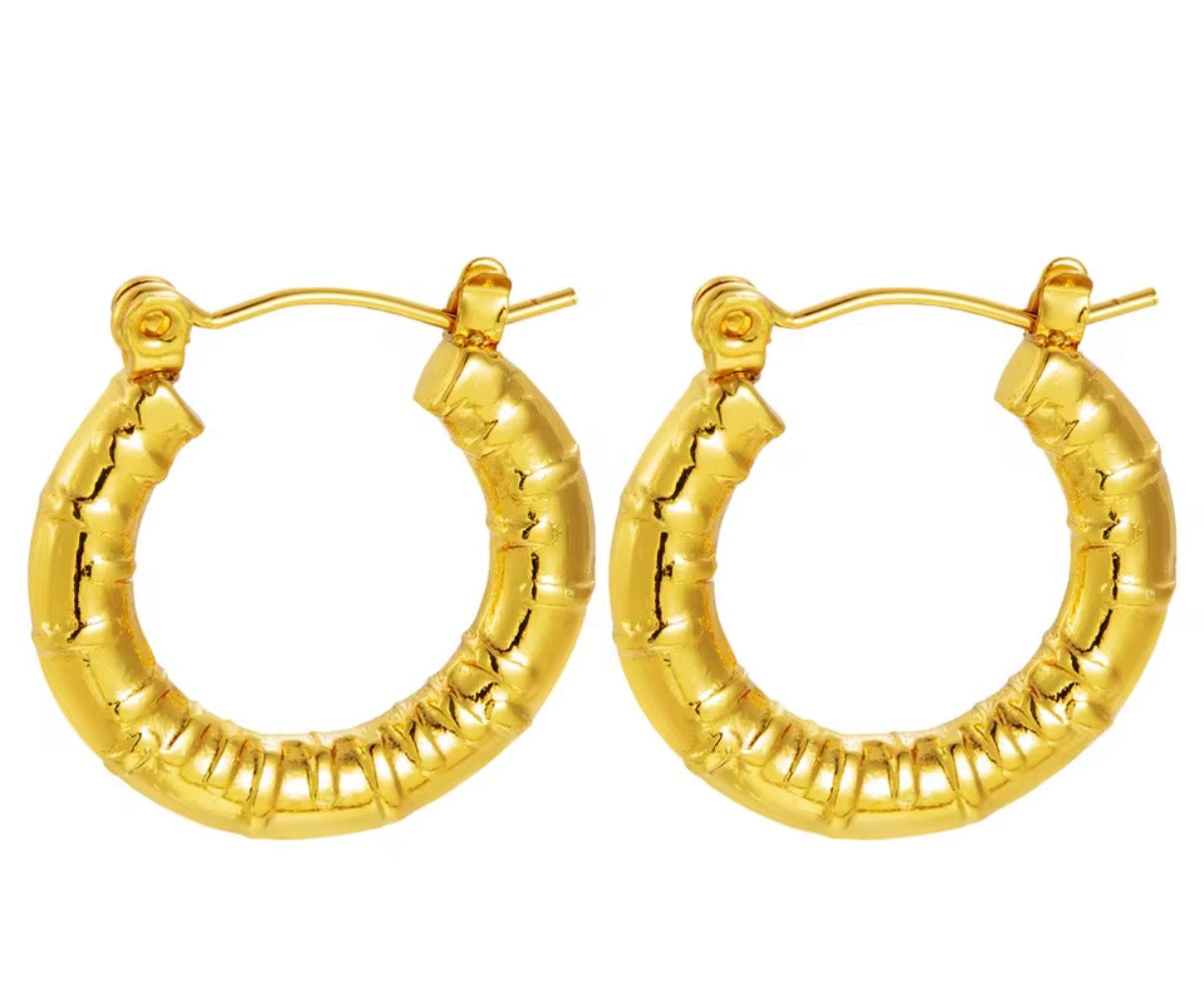 Rustic Segment Round Hoops